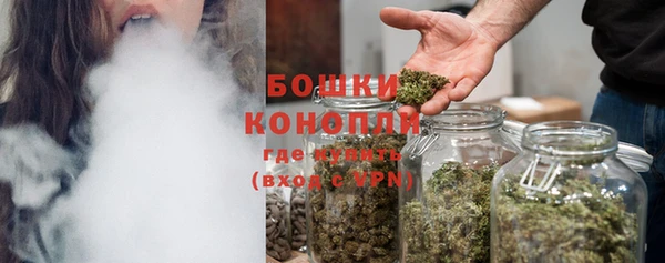 амф Новодвинск