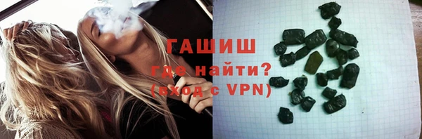 сатива Новозыбков