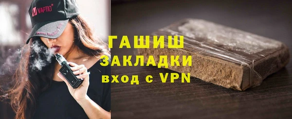 сатива Новозыбков