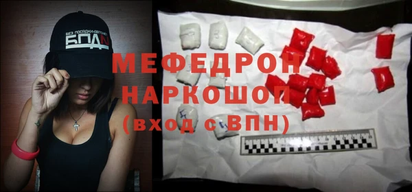 сатива Новозыбков