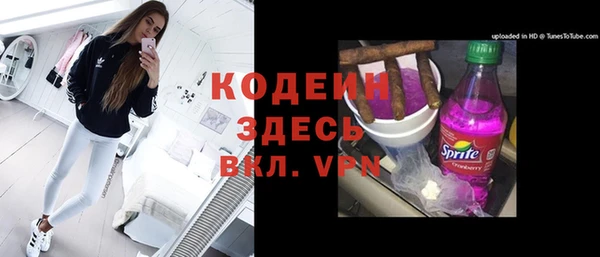 сатива Новозыбков