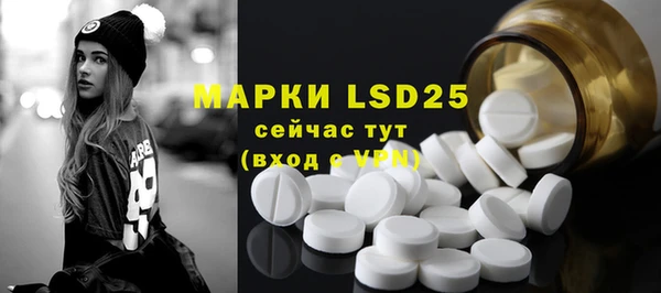 сатива Новозыбков