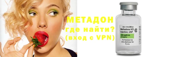 сатива Новозыбков