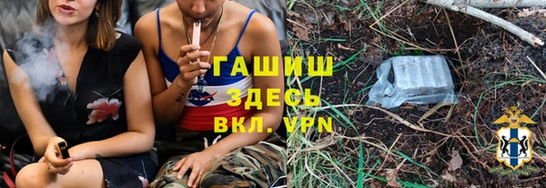 сатива Новозыбков