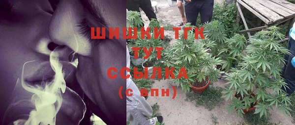 амф Новодвинск