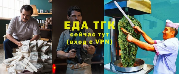 сатива Новозыбков