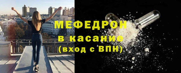 сатива Новозыбков