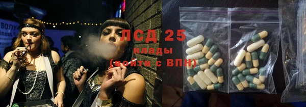 сатива Новозыбков