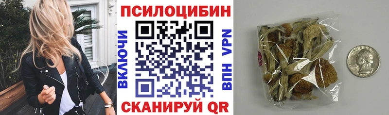 mega   Усмань  Псилоцибиновые грибы Psilocybine cubensis 